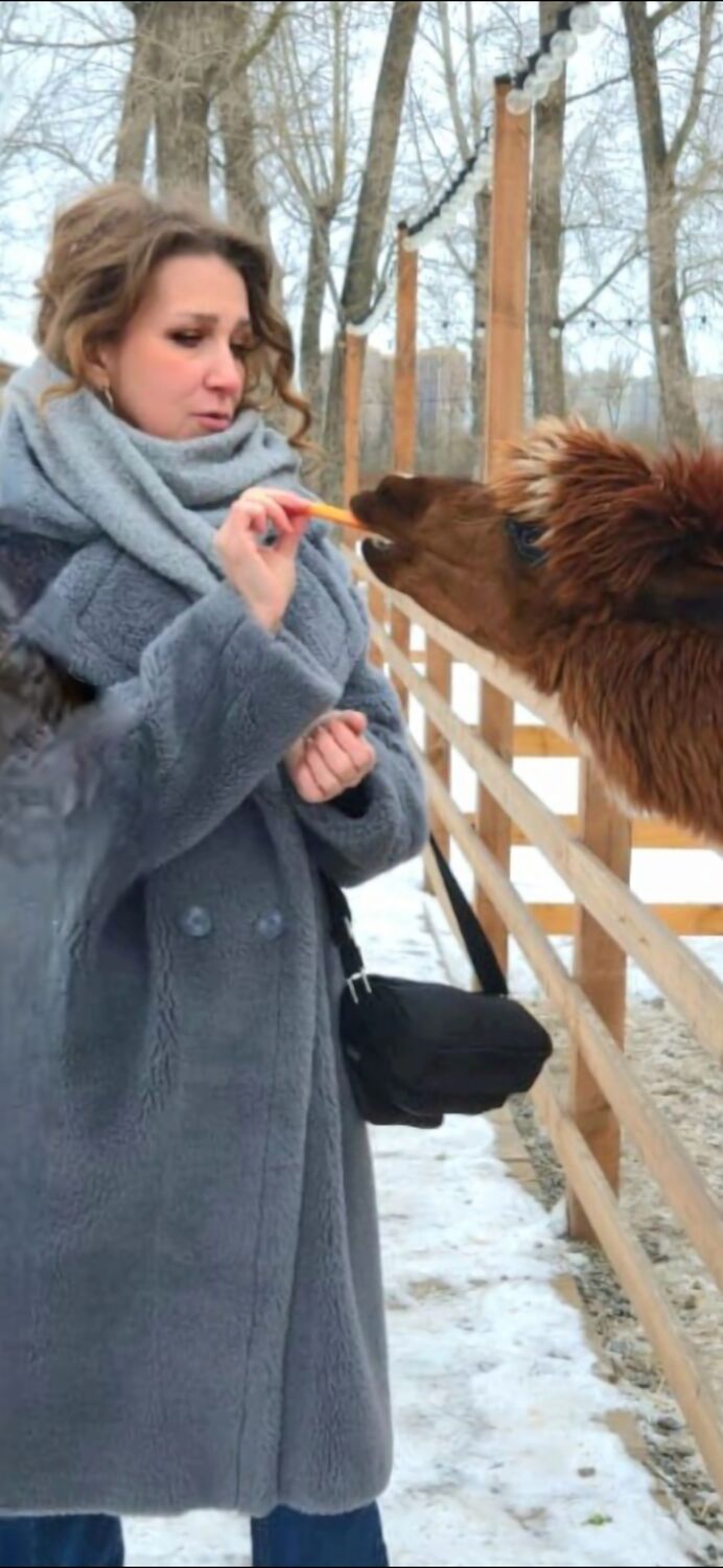 ���������� ������-��-����, ���� ������� �����, 53 ����, ������������ 