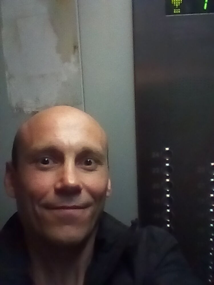  20299508  , 43 ,    -