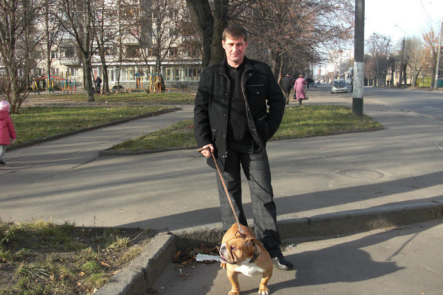  8144808  Kv072, 53 ,    