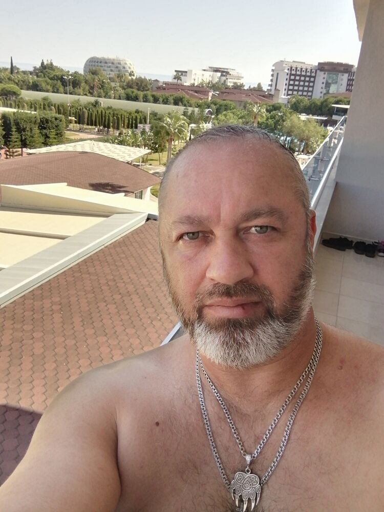  41585558  , 50 ,    
