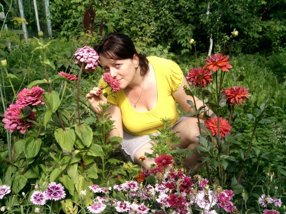 ���������� �����, ���� ������� ����, 51 ���, ������������ ��� ����� � ���������, c�������� ���������