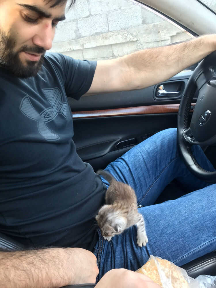 ���� 32644228 ������� �����, 36 ���, ���� ���������� � ������