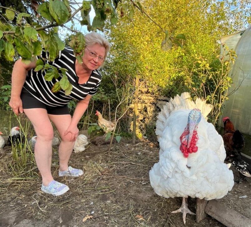 ���� 53676918 ������� �������, 56 ���, ���� ���������� � �������