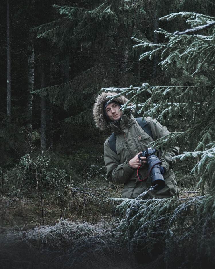 ���������� �����-���������, ���� ������� ����, 33 ����, ������������ ��� ������, ����� � ���������, c�������� ���������