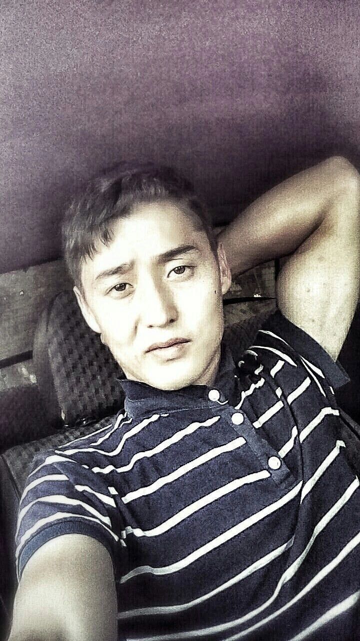  33288408  , 33 ,    