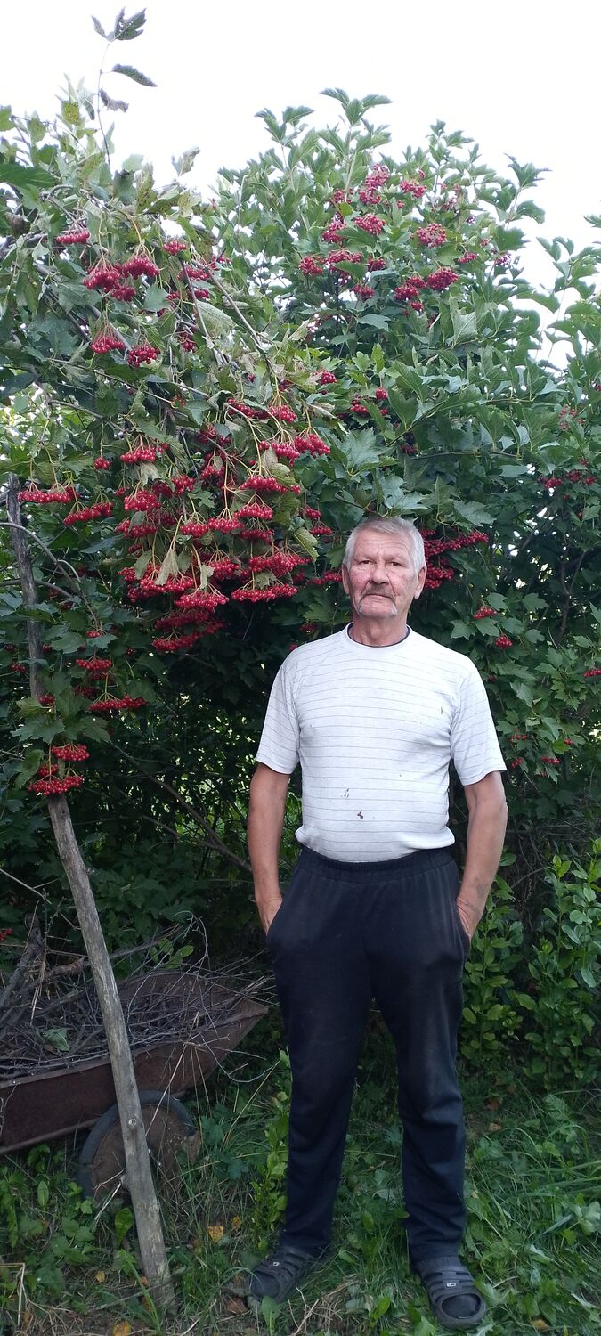  ,   , 61 ,   ,   