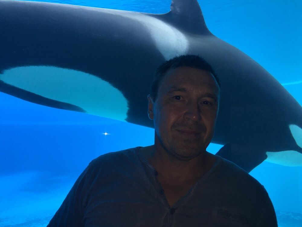  ,   , 62 ,   ,   , c 