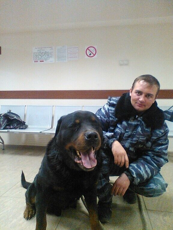 ���������� �����-���������, ���� ������� �������, 39 ���, ������������ ��� ������, ����� � ���������