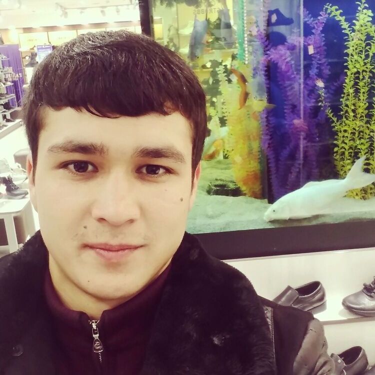  28376608  Dima, 26 ,    