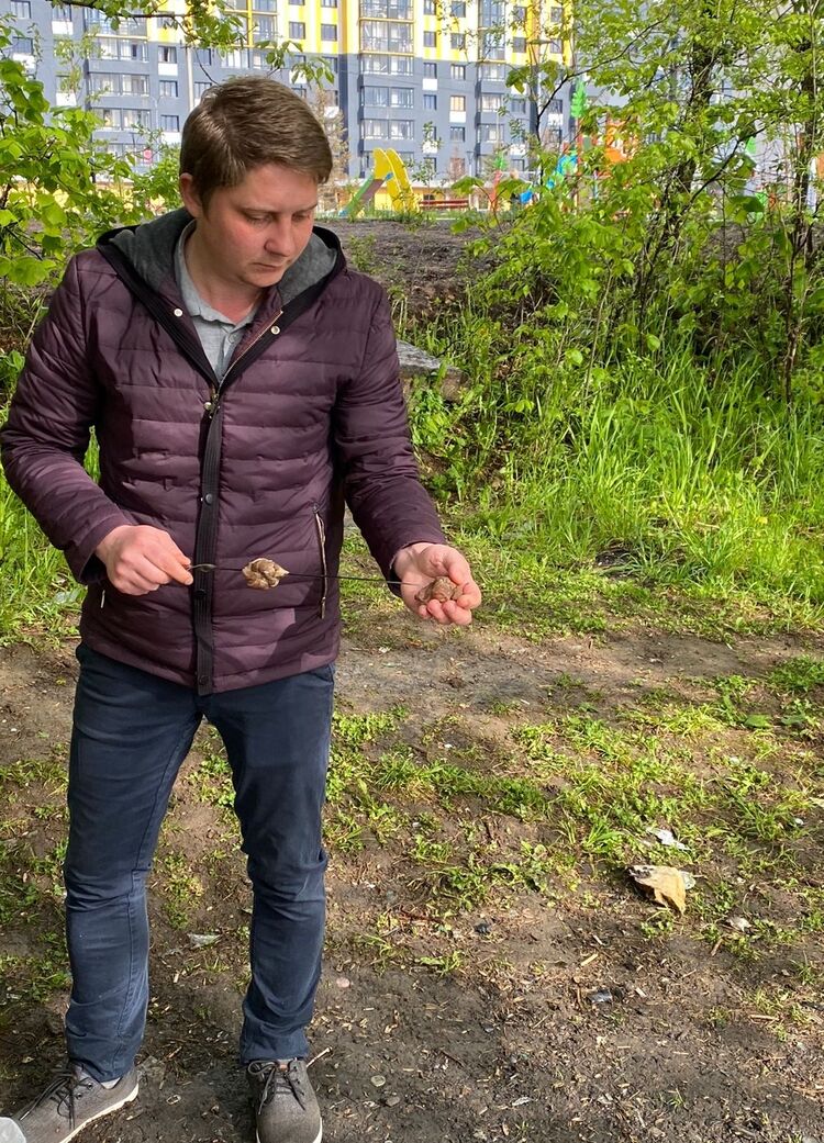 ���������� ������, ���� ������� ����, 35 ���, ������������ ��� ����� � ���������, c�������� ���������, ���������