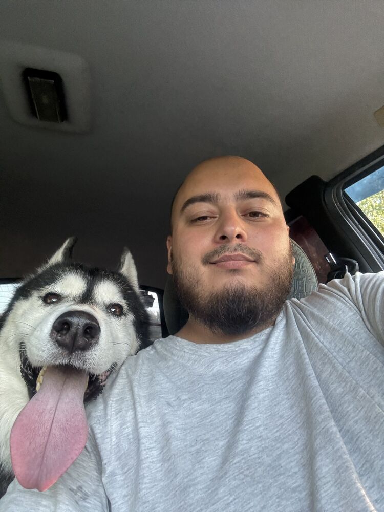 ���� 49860048 ������� Alexander, 41 ���, ���� ���������� � ������