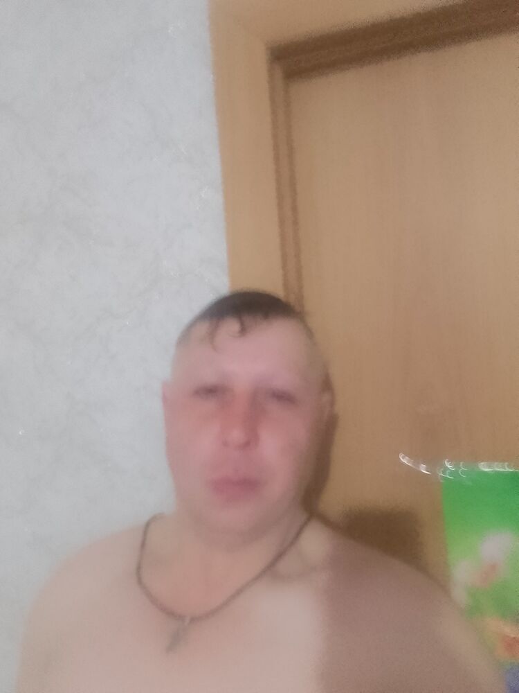  41561878  , 38 ,    -