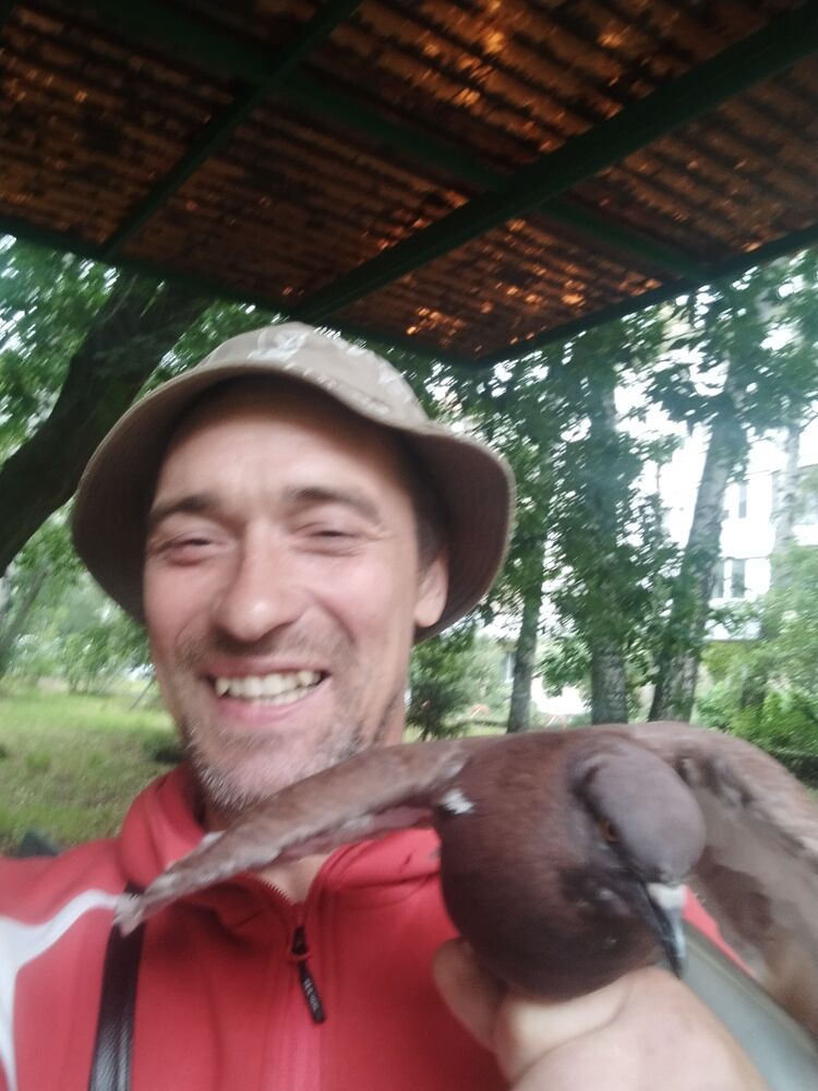 ���� 53457448 ������� ��������, 47 ���, ���� ���������� � ���������