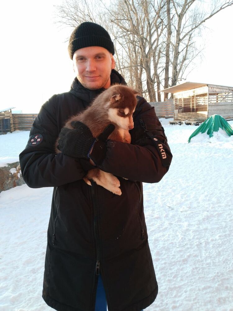 ���� 55316178 ������� �����, 28 ���, ���� ���������� � ���������������