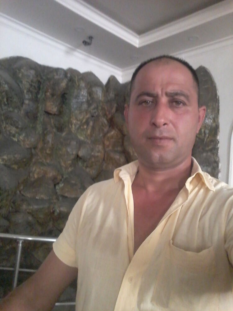  33556368  Habil, 45 ,     
