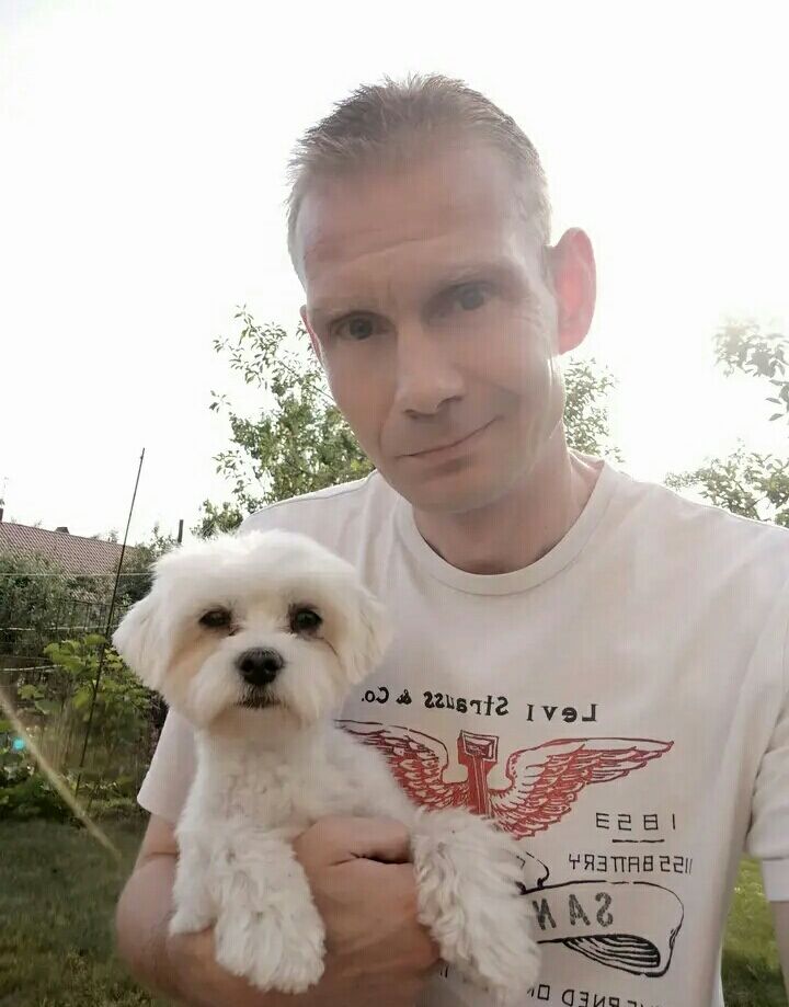 ���������� ����, ���� ������� �����, 40 ���, ������������ ��� ������, ����� � ���������, c�������� ���������, ���������