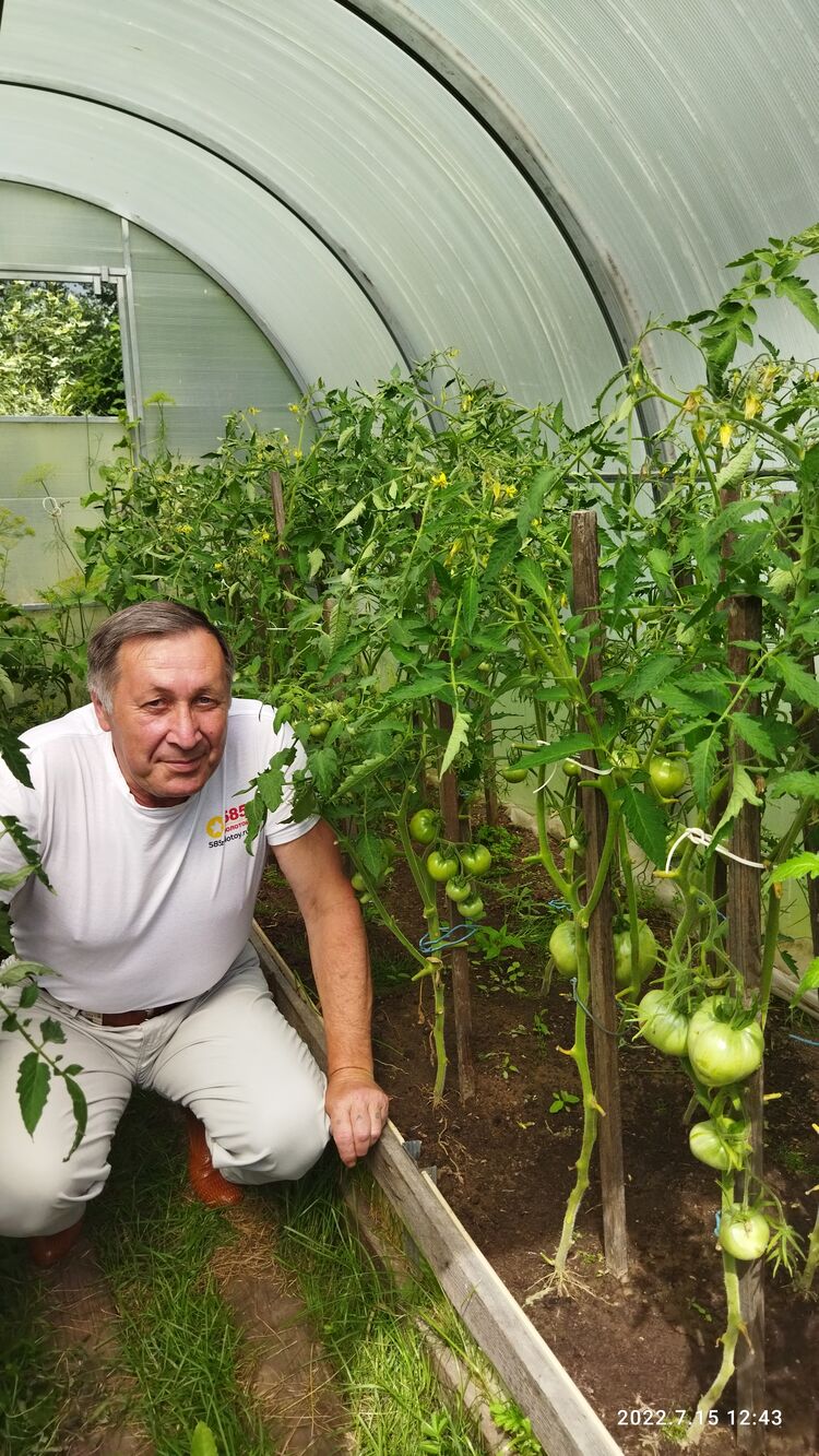 ���������� �����-���������, ���� ������� �������, 66 ���, ������������ ��� ������, ����� � ���������