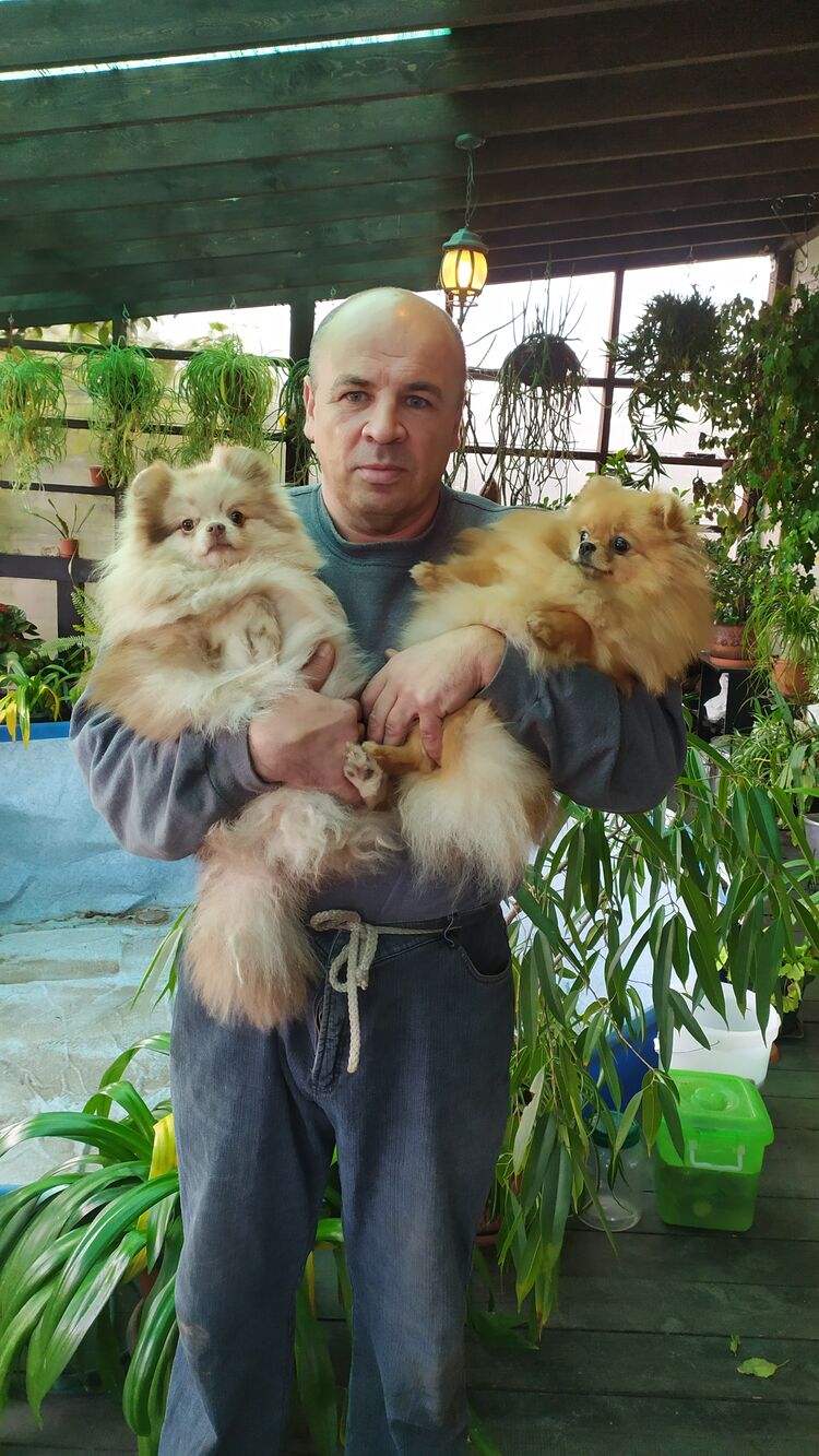 ���������� �����-���������, ���� ������� ����, 55 ���, ������������ ��� ������, ����� � ���������