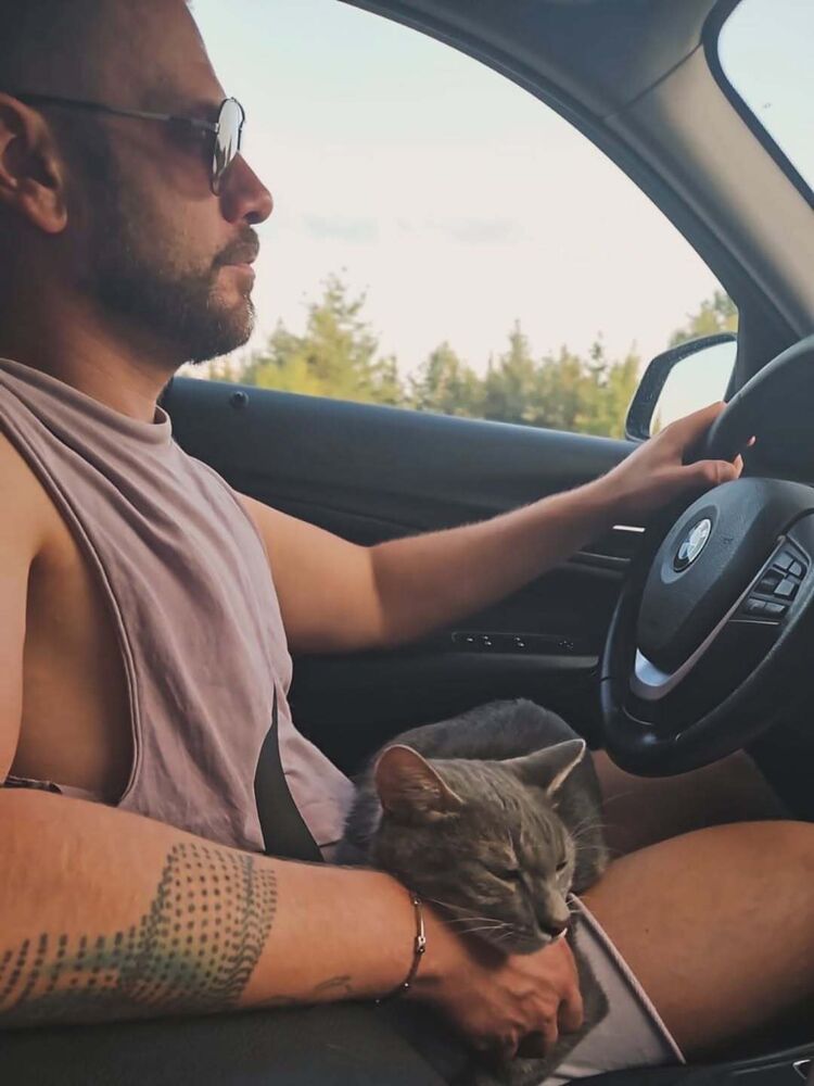 ���� 54863618 ������� ����, 38 ���, ���� ���������� � ������