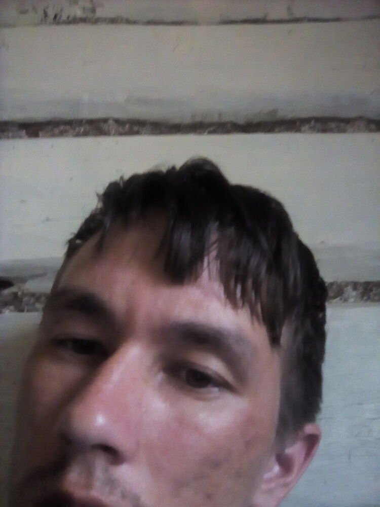  20169598  , 31 ,    
