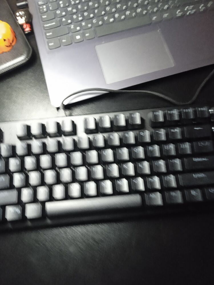 ���� 53334078 ����� ����, 22 ����, ���� ���������� � ���������������