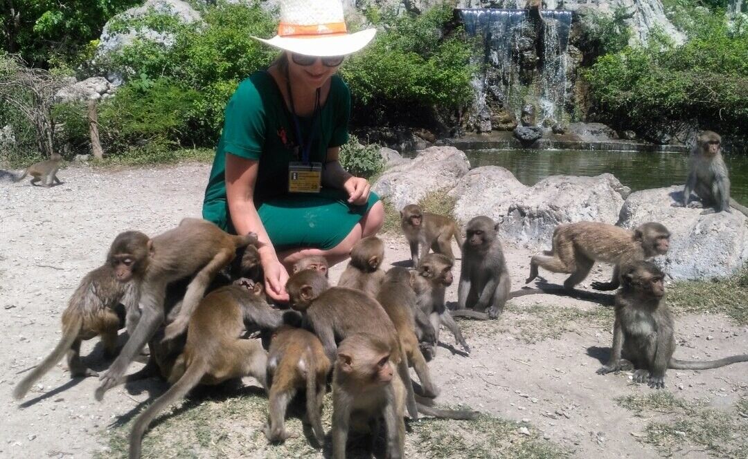 ���������� �����, ���� ������� ������, 38 ���, ������������ ��� ������, ����� � ���������, c�������� ���������