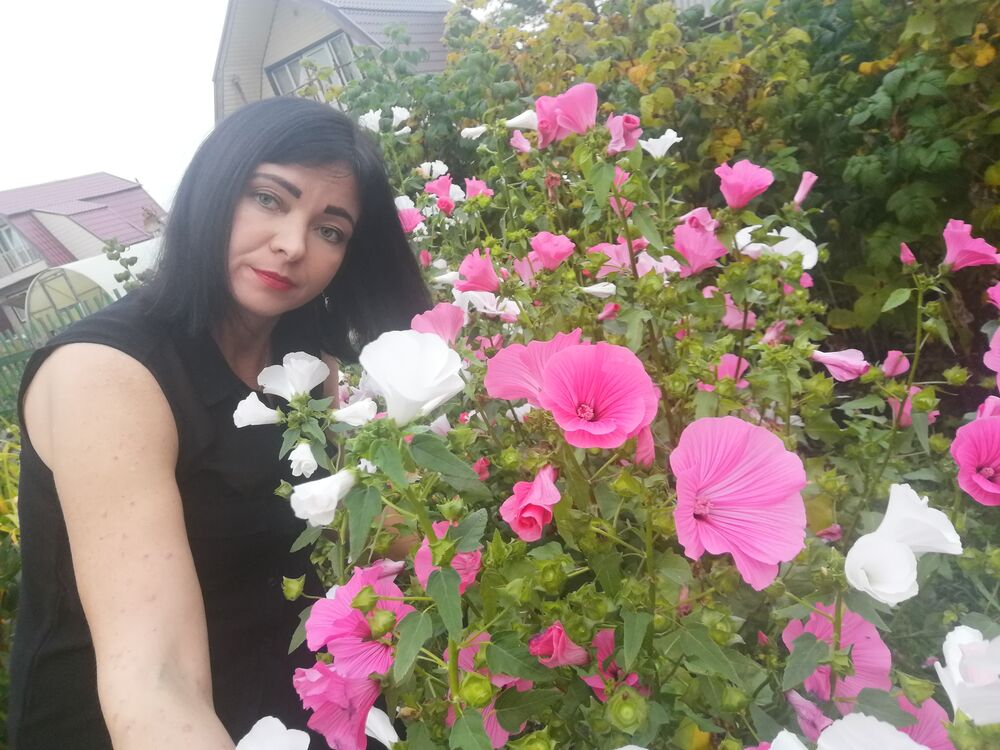 ���������� �����������, ���� ������� ����������, 40 ���, ������������ ��� c�������� ���������