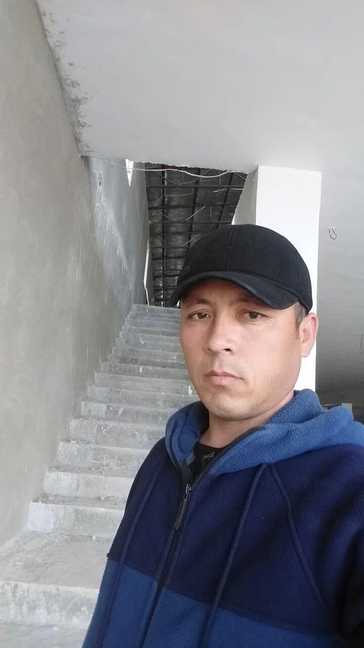  31517778  , 36 ,    
