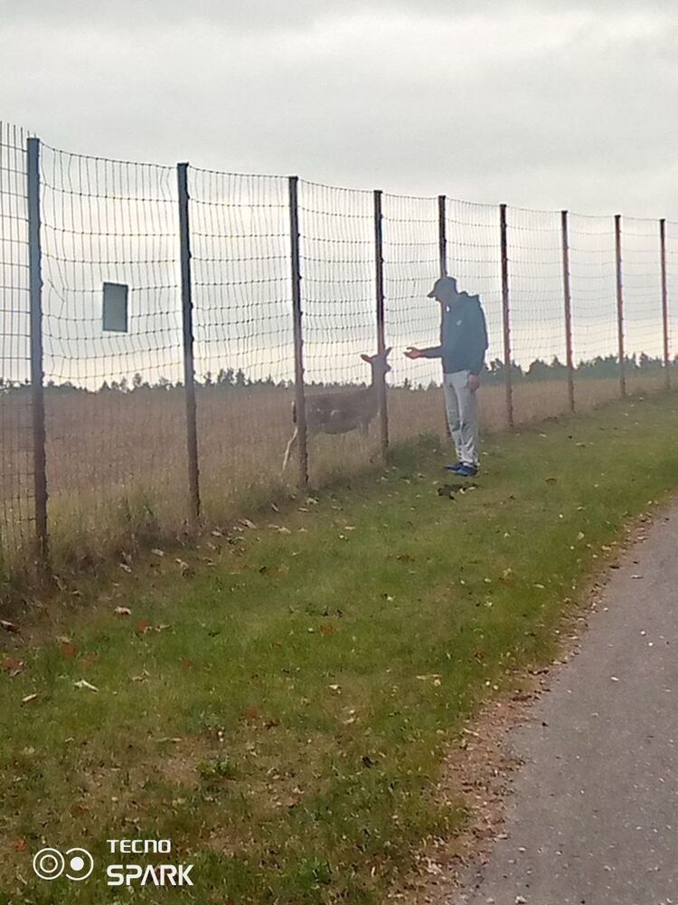 ���������� �����, ���� ������� ������, 41 ���, ������������ ��� ������, ����� � ���������