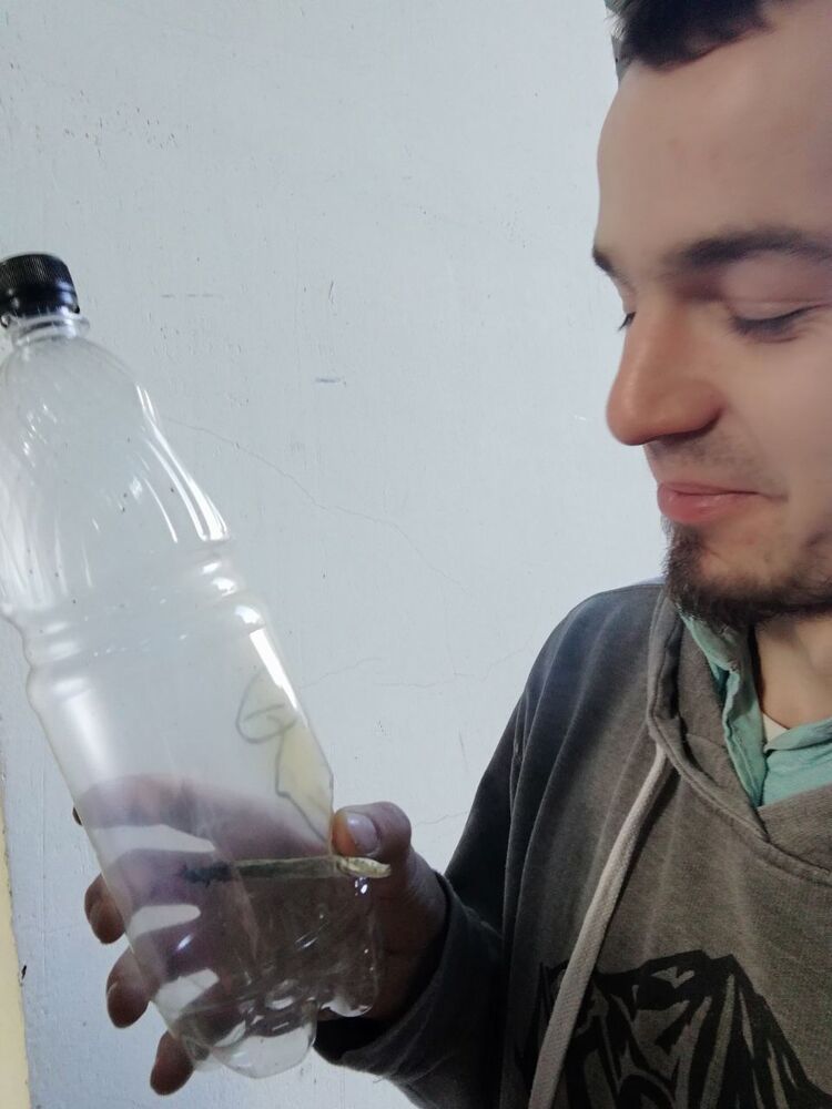  -,   , 29 ,   ,   