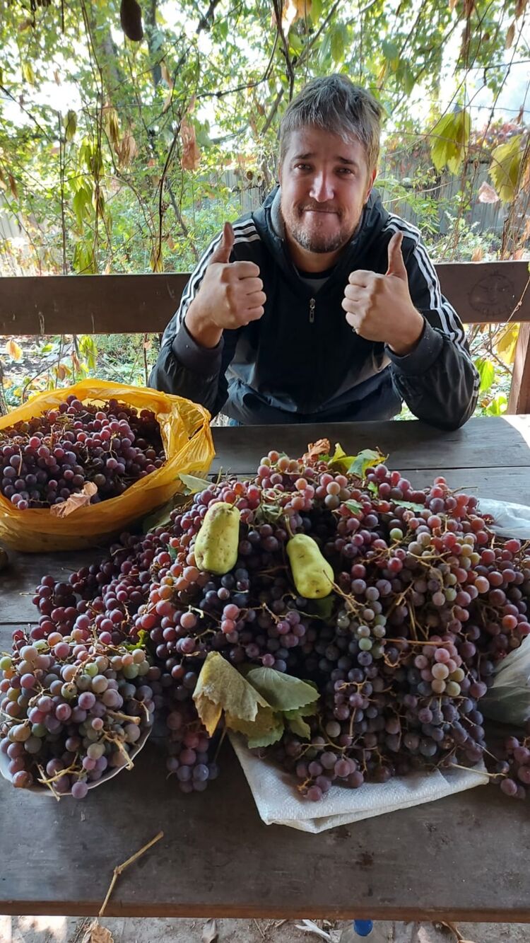 ���� 24101858 ������� ����, 41 ���, ���� ���������� � ������