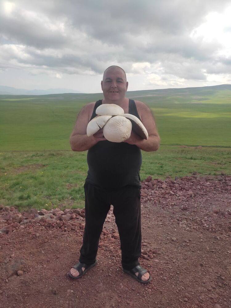  ,   Arsen, 44 ,   ,   