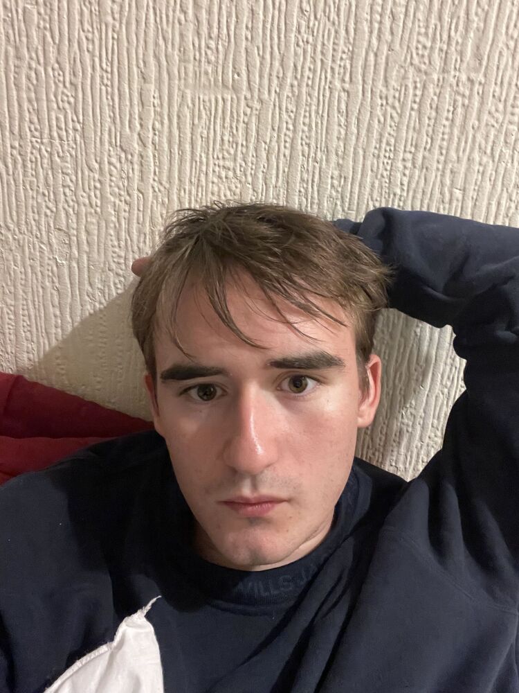  53404778  , 20 ,    -