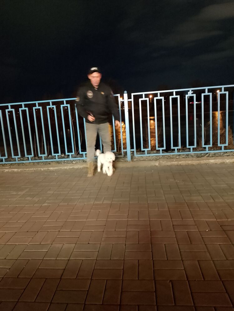 ���������� ����������, ���� ������� �����, 42 ����, ������������ ��� ������, ����� � ���������, c�������� ���������