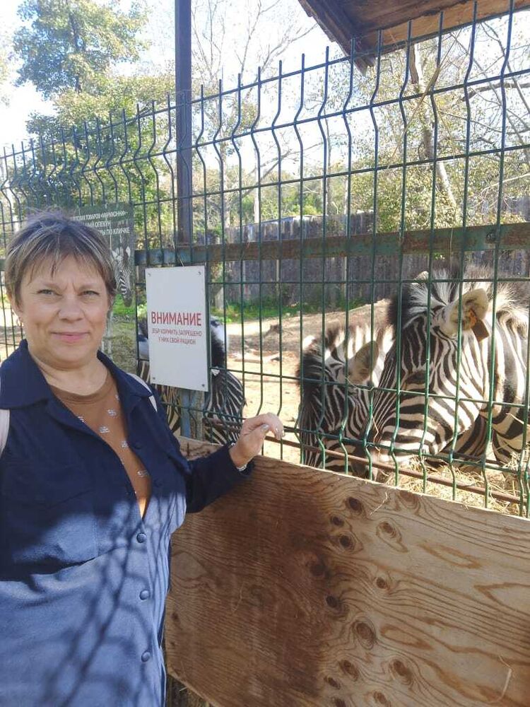 ���������� �����������, ���� ������� �������, 51 ���, ������������ ��� ������, ����� � ���������