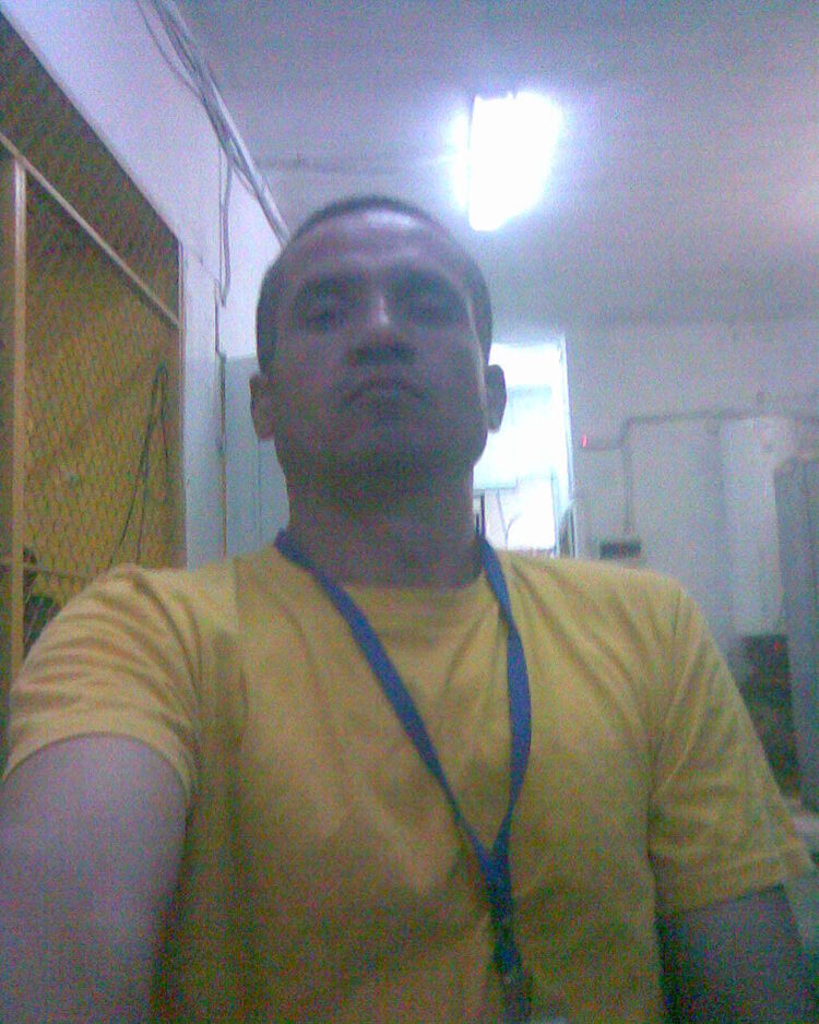  47310678  , 31 ,    