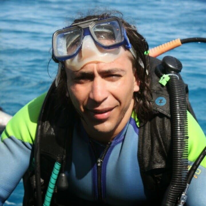  39585708   , 44 ,    