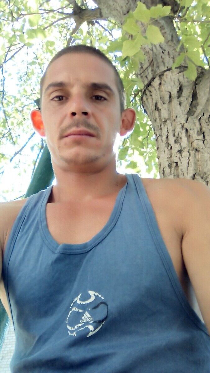 ���� 20939668 ������� Ollex, 40 ���, ���� ���������� � �����