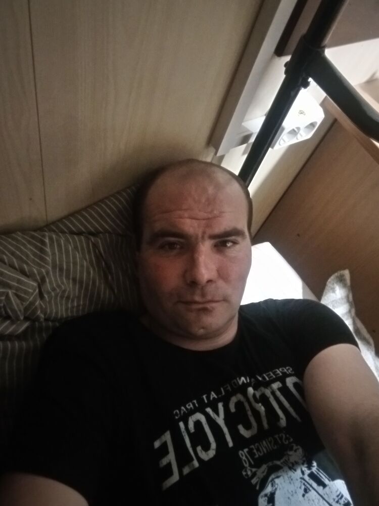  50449478  , 39 ,    
