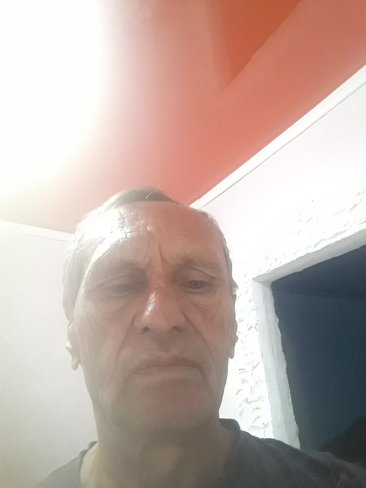  37154348  , 66 ,    