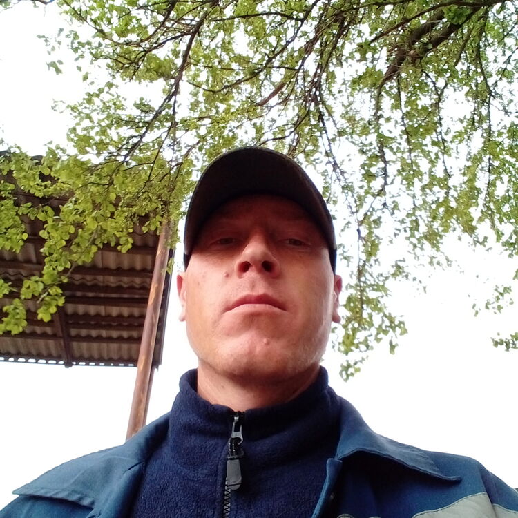  43594808   , 32 ,     