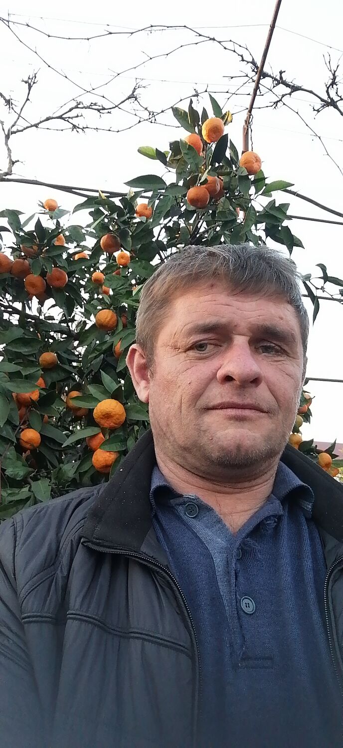 ���� 46635638 ������� ��������, 38 ���, ���� ���������� � ����������