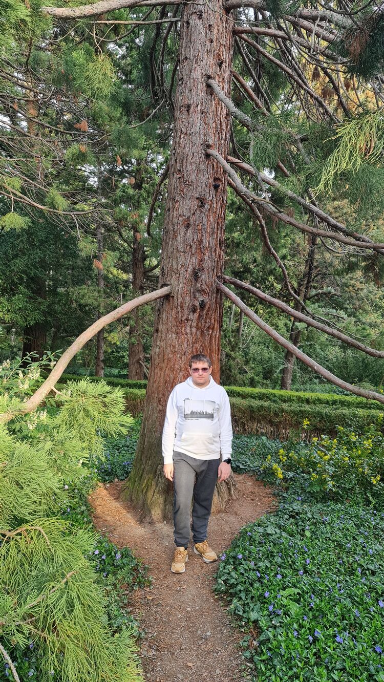 ���� 39350078 ������� �������, 34 ����, ���� ���������� � �����������