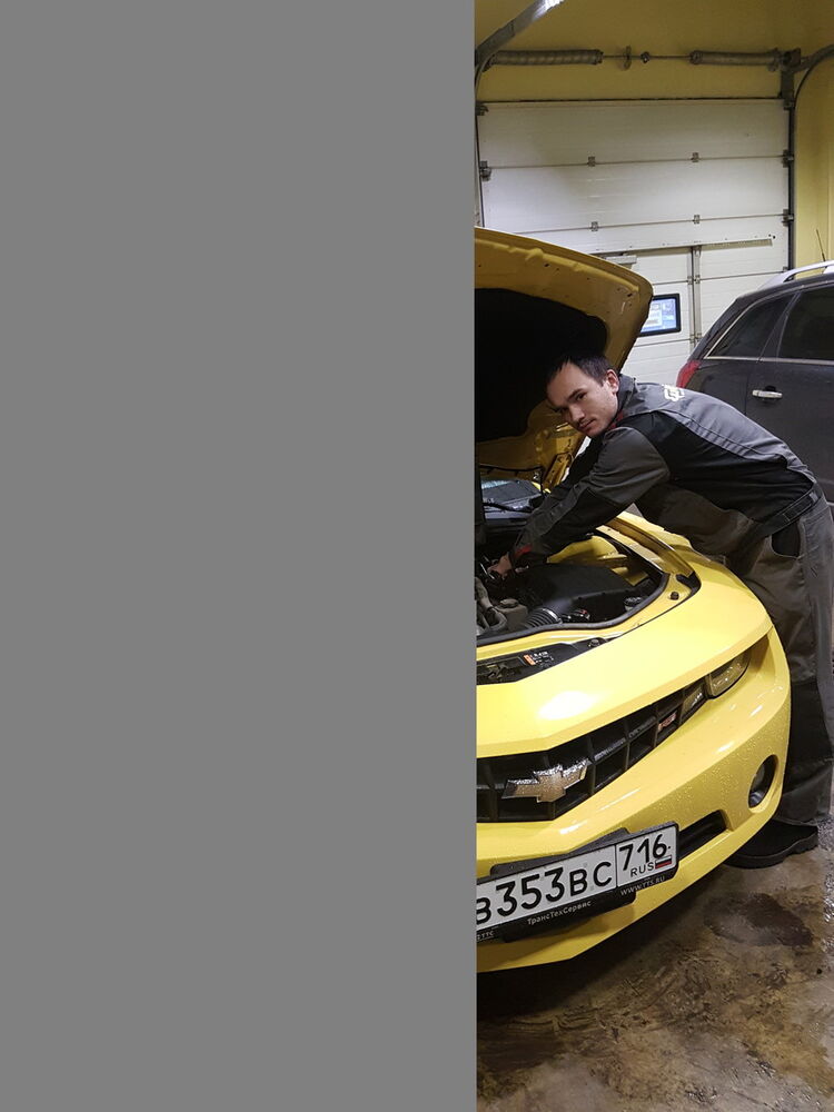 ���� 16561858 ������� �����, 34 ����, ���� ���������� � ������