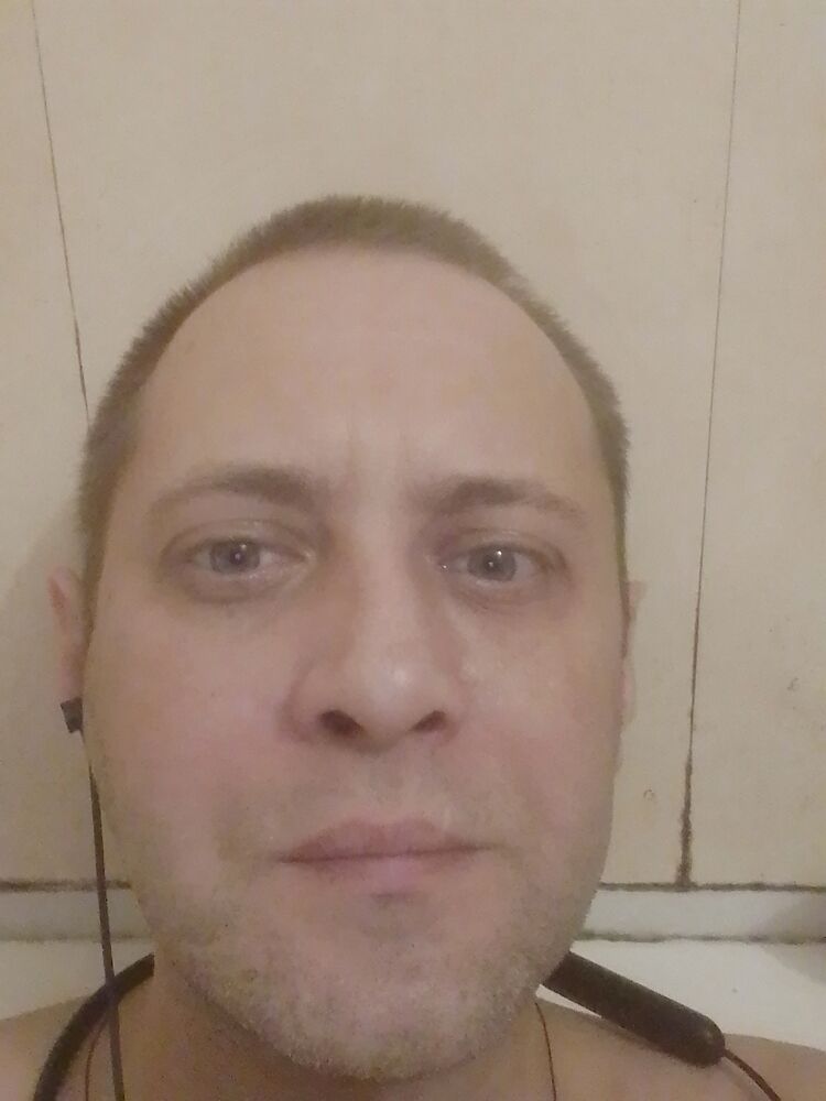  49058978  , 43 ,     