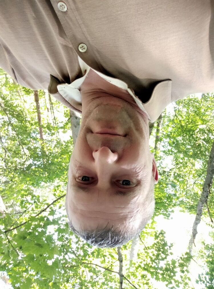 ���������� ����, ���� ������� ������, 44 ����, ������������ ��� ������, ����� � ���������, c�������� ���������, ���������