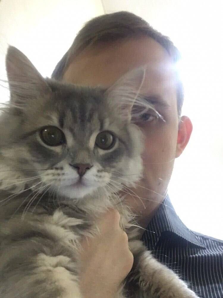 ���� 42774128 ������� �������, 27 ���, ���� ���������� � ��������