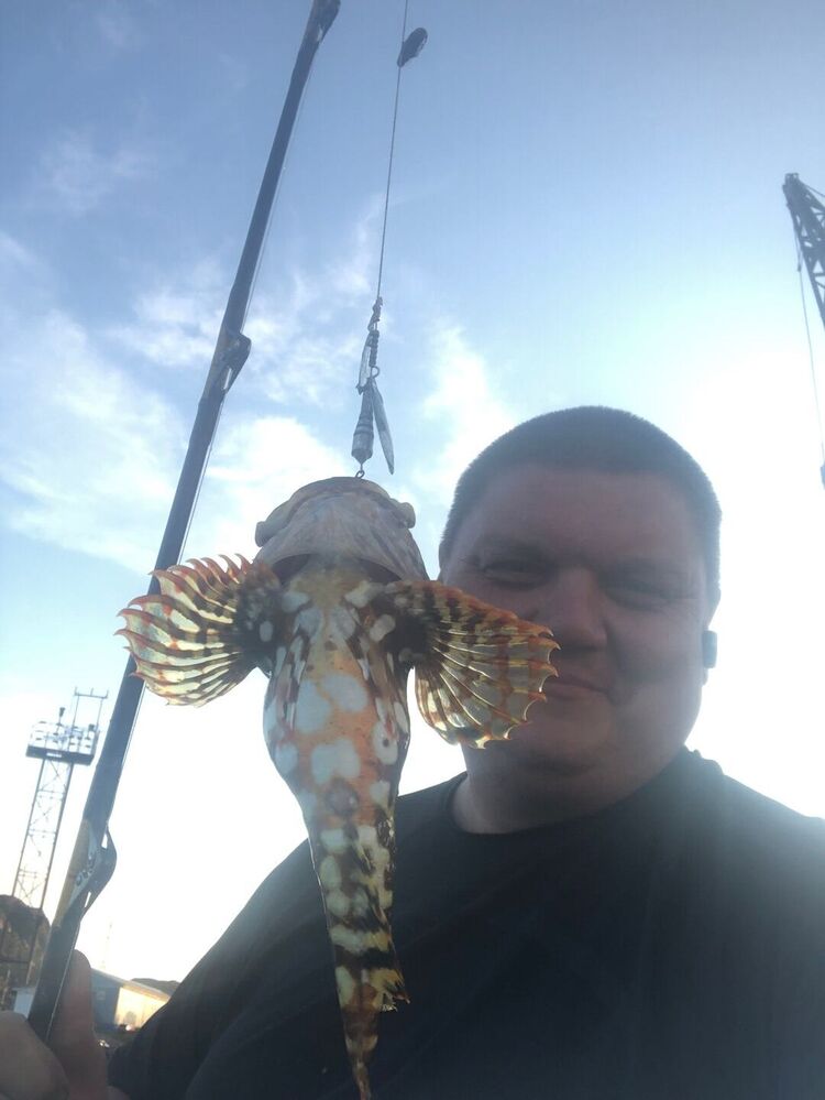 ���� 41016478 ������� ������, 43 ����, ���� ���������� � �������