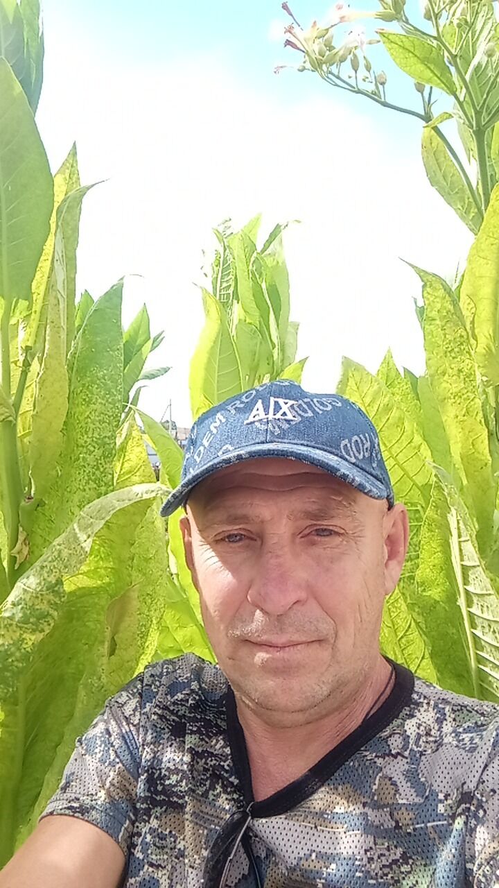  45442698  , 50 ,    