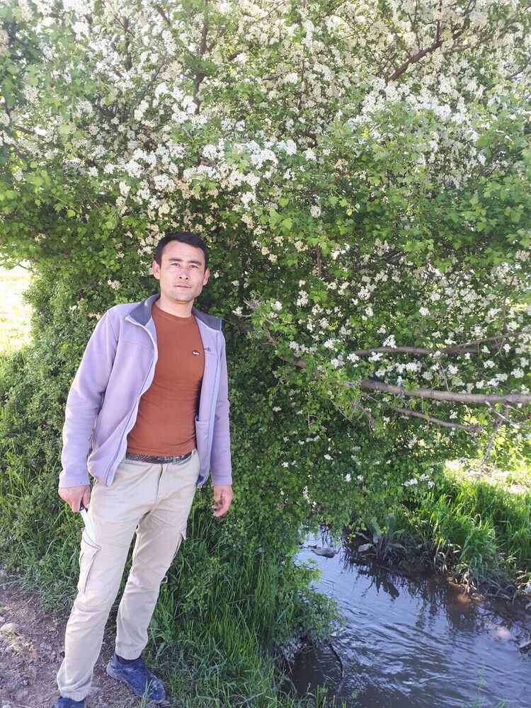 ���� 20636588 ������� Talgat, 34 ����, ���� ���������� � ��������